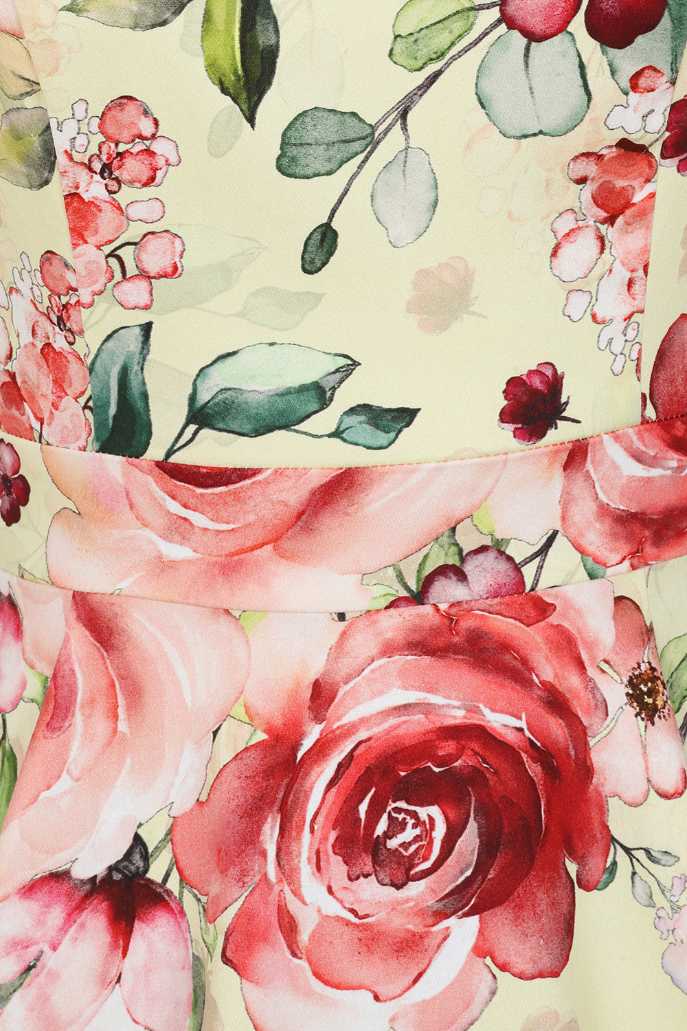 Buttercup Rose Swing Dress in Extended Sizing